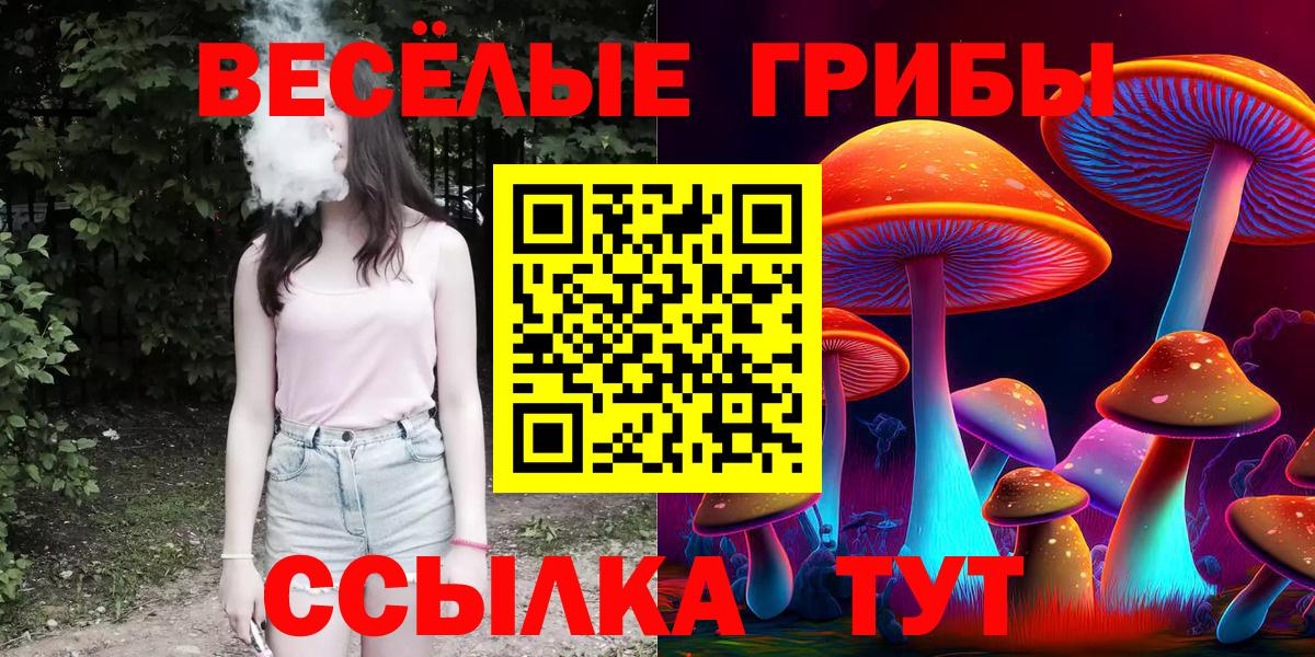 Углич  Галлюциногенные грибы MAGIC MUSHROOMS  Вход с VPN 